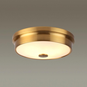 Настенно-потолочный светильник Odeon Light Marsei 4824/3C, бронза